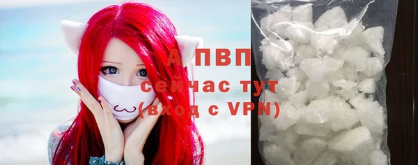 индика Бугульма