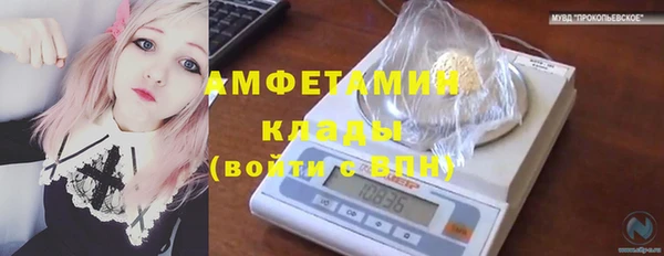 ПСИЛОЦИБИНОВЫЕ ГРИБЫ Верхний Тагил