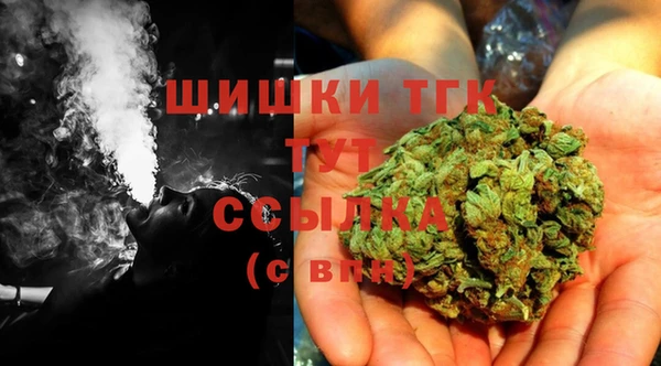 ПСИЛОЦИБИНОВЫЕ ГРИБЫ Верхний Тагил