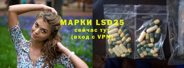 ПСИЛОЦИБИНОВЫЕ ГРИБЫ Верхний Тагил