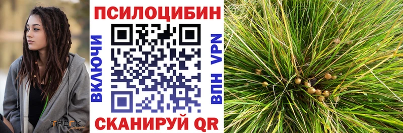 ОМГ ОМГ ТОР  Воткинск  Галлюциногенные грибы Cubensis 